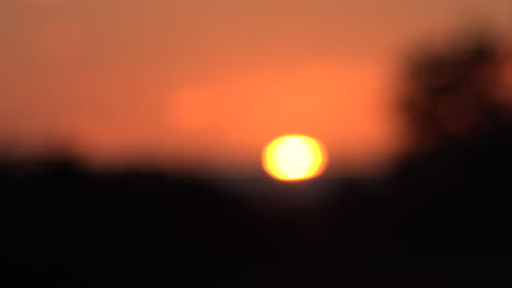 California-soft-focus-sun